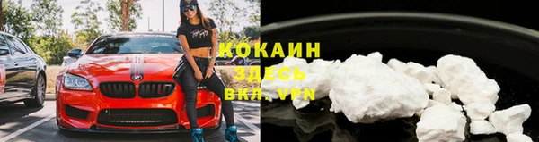 ешки Арсеньев