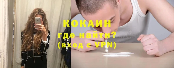 ешки Арсеньев