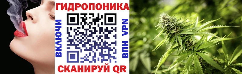 Канабис OG Kush  Купить  Кудымкар 